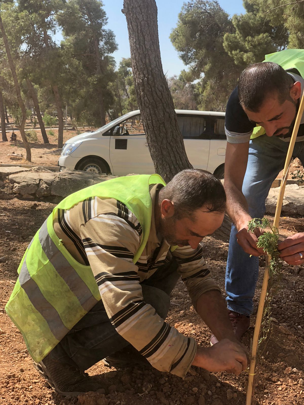 Madar Al-Saa Images