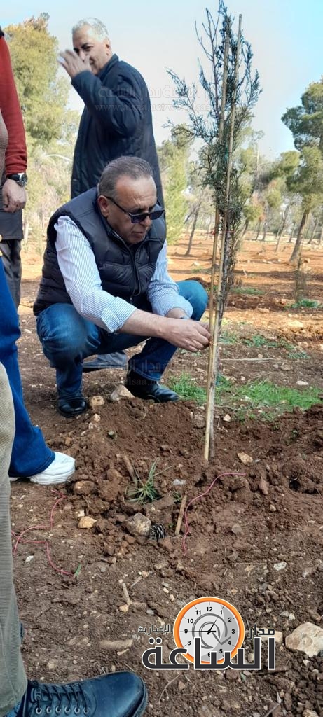 Madar Al-Saa Images 0.4156672880331329