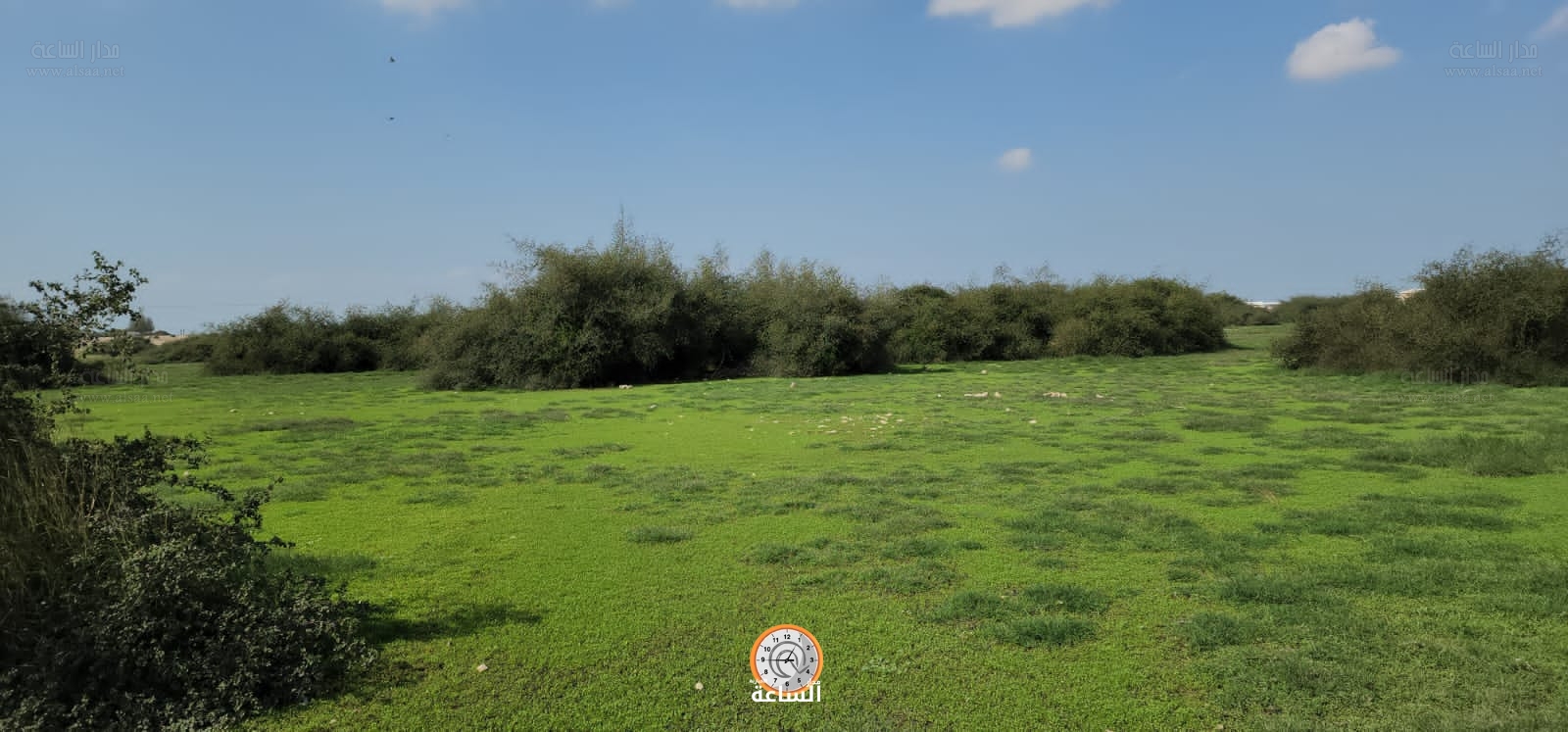 Madar Al-Saa Images 0.19945911800221117