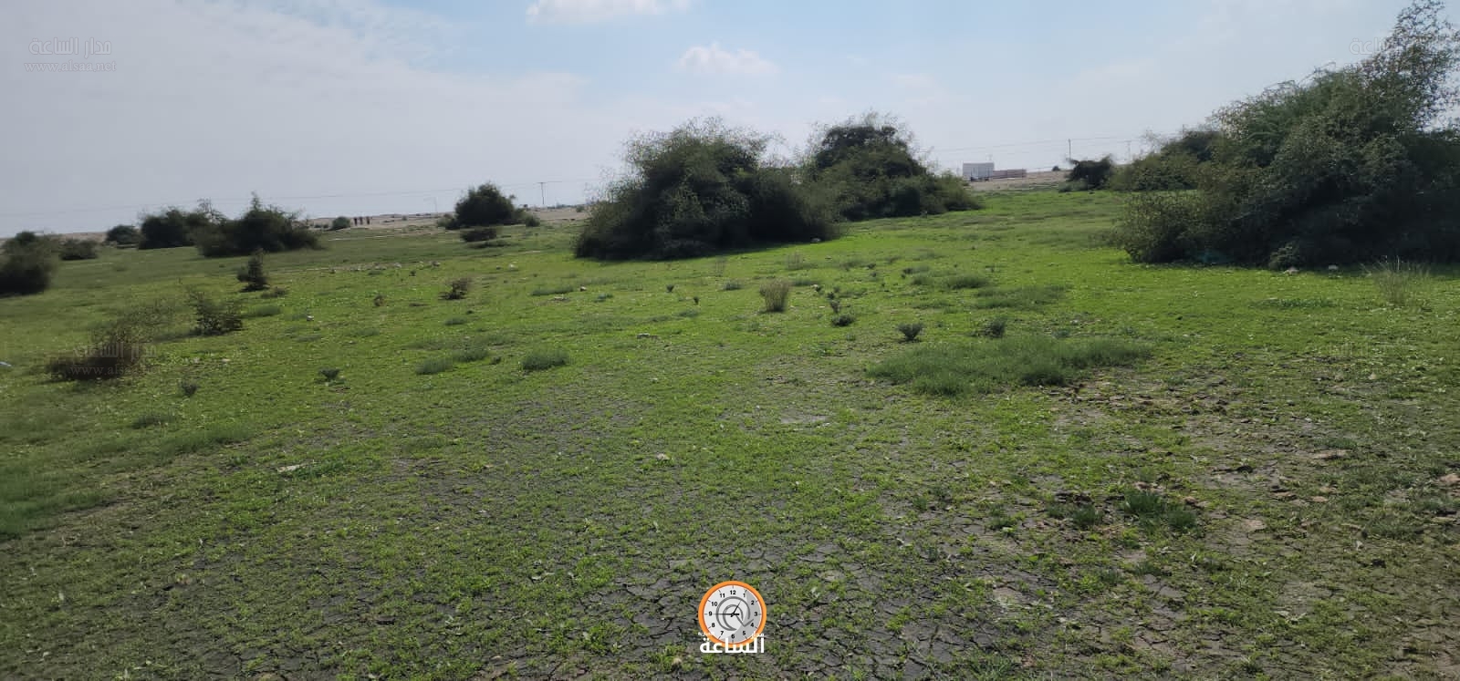 Madar Al-Saa Images 0.4770704374309289