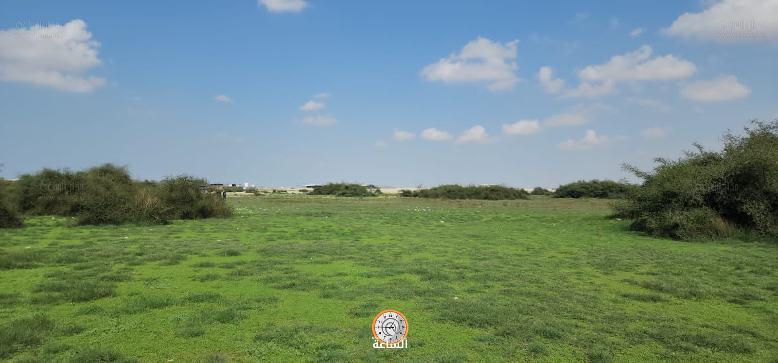 Madar Al-Saa Images 0.9573895236304519