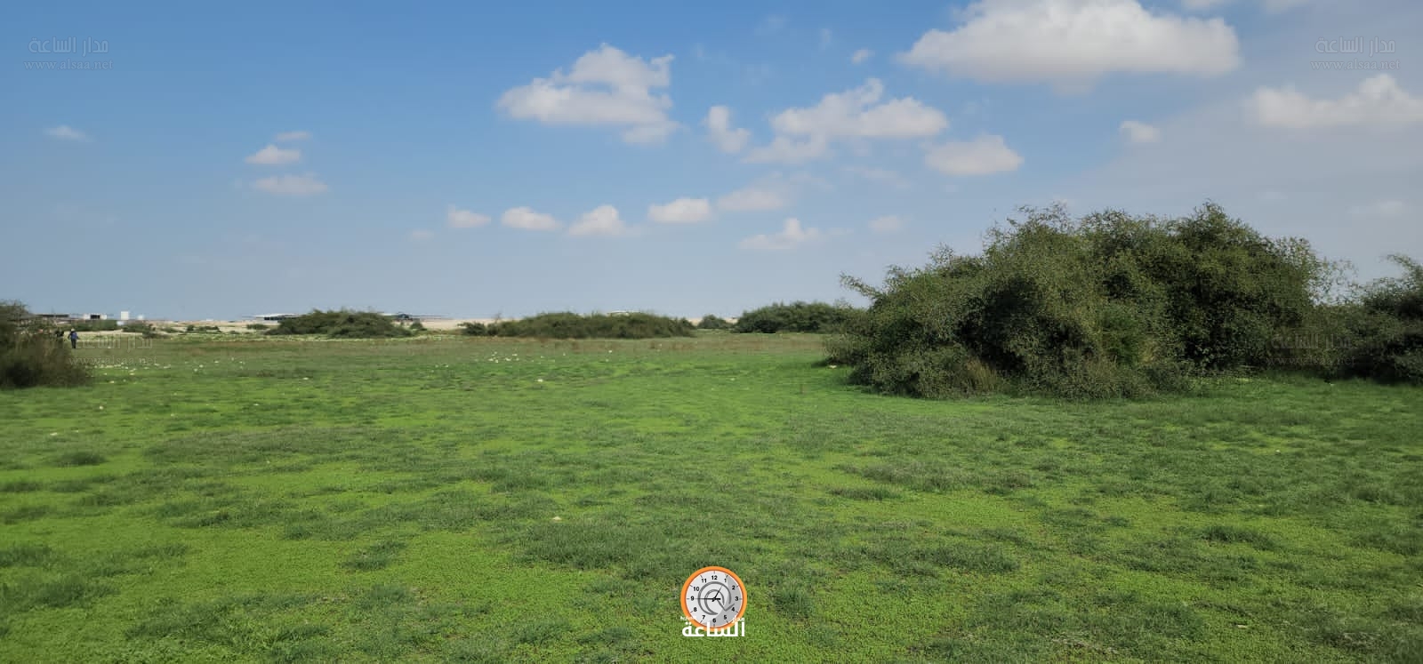 Madar Al-Saa Images 0.21086230682994866