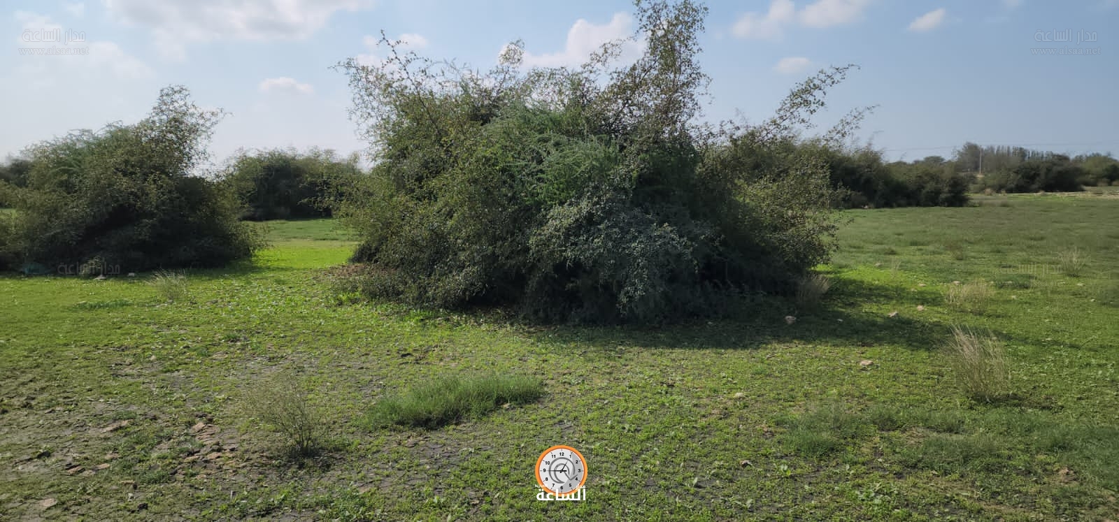 Madar Al-Saa Images 0.3093644853296258