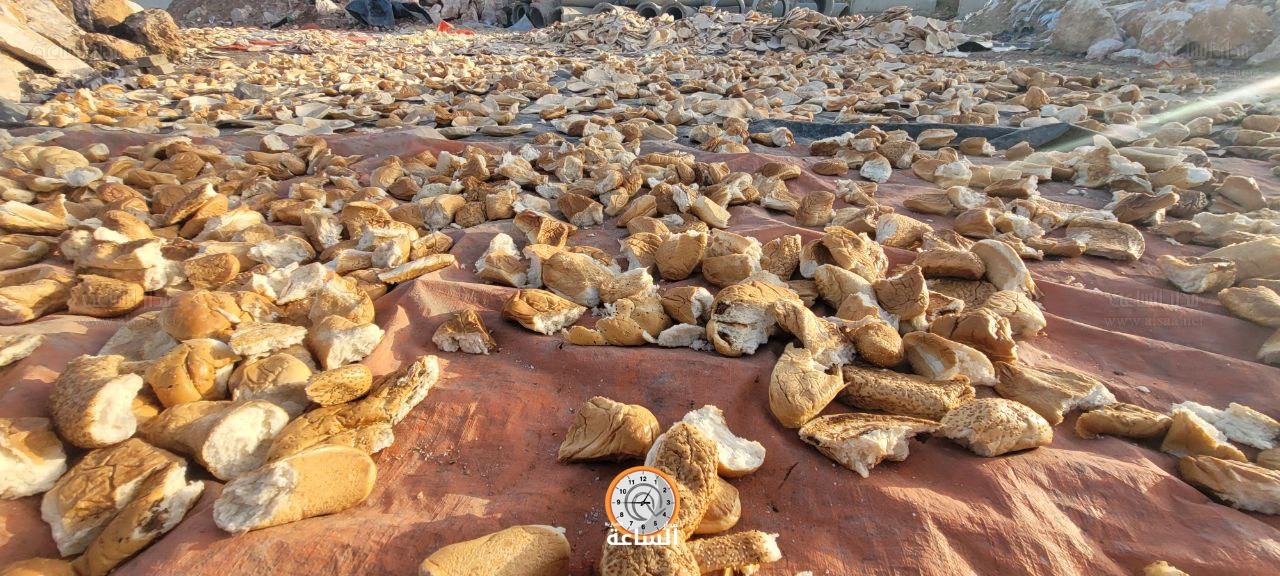 Madar Al-Saa Images 0.9972341467293644