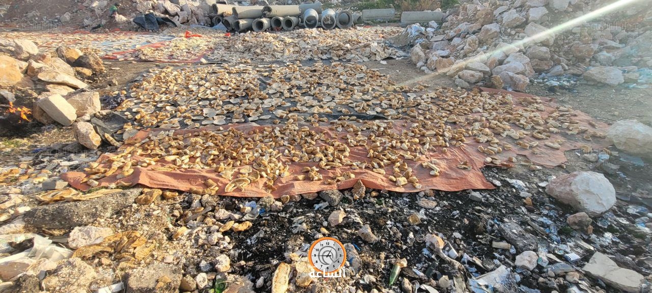 Madar Al-Saa Images 0.47463854903953906