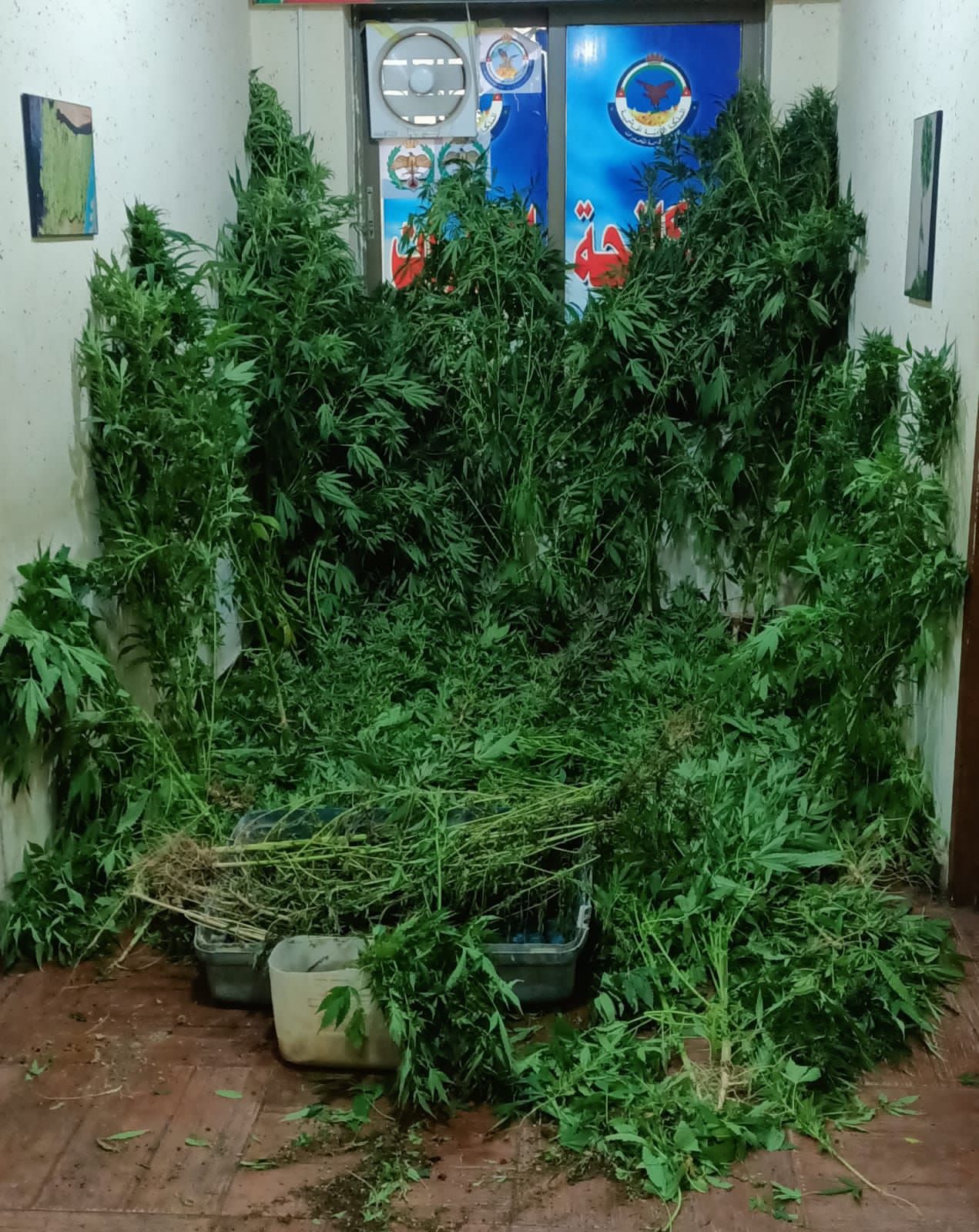 Madar Al-Saa Images 0.3219171340196705