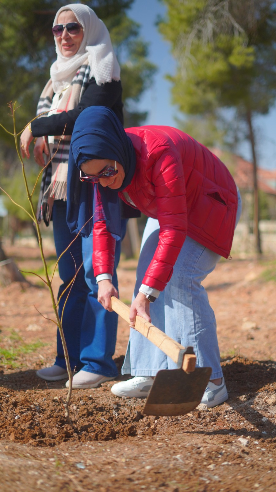 Madar Al-Saa Images 0.4023318792489188