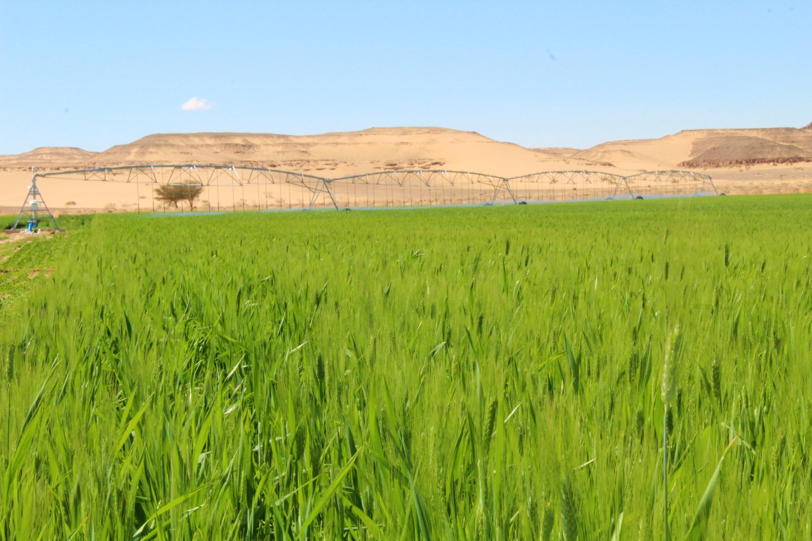 Madar Al-Saa Images 0.3446609477485709