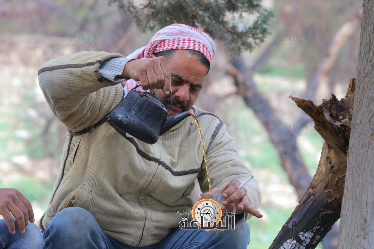 Madar Al-Saa Images 0.7795400149536513