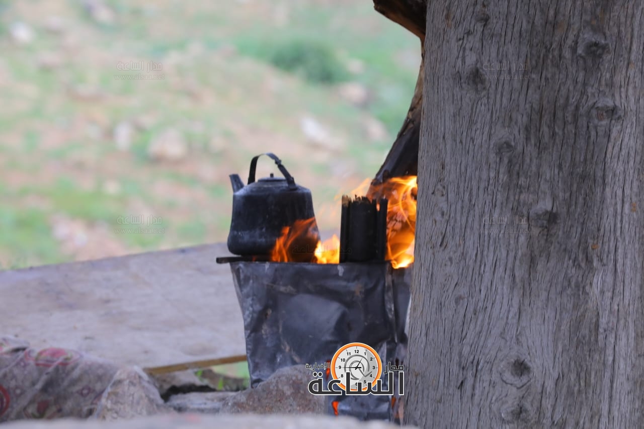 Madar Al-Saa Images 0.9125564944787297