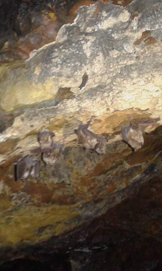 Madar Al-Saa Images 0.15265313366901823