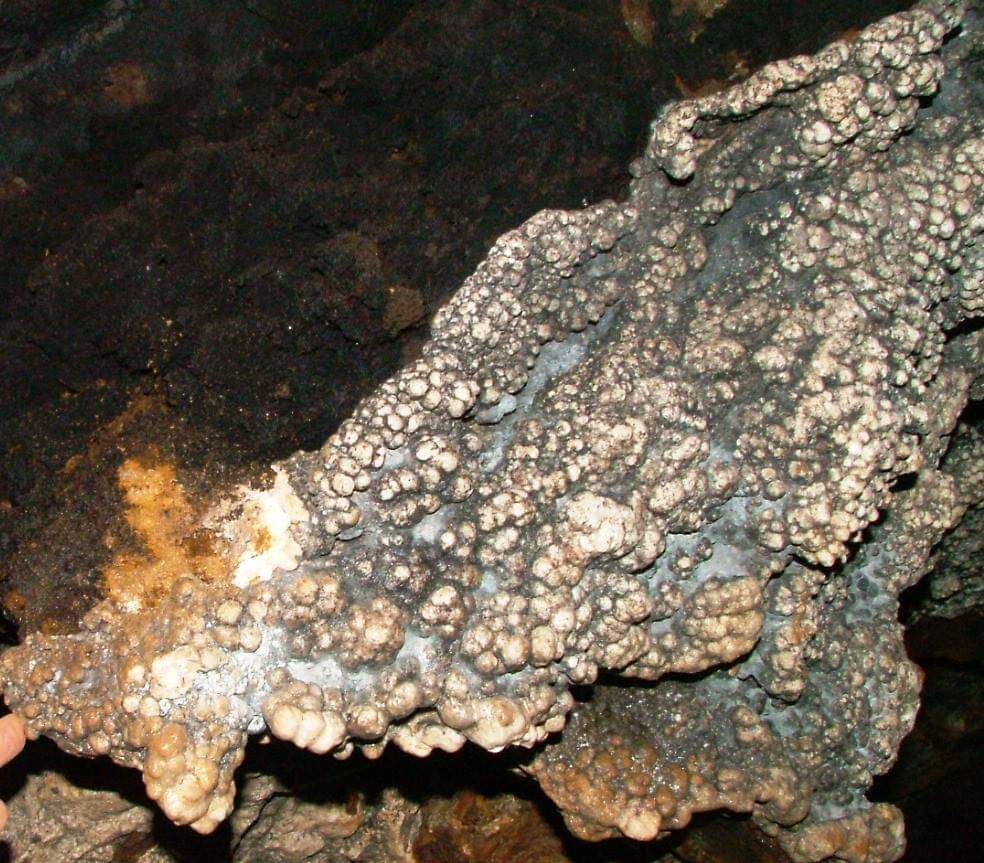 Madar Al-Saa Images 0.7604955747860662