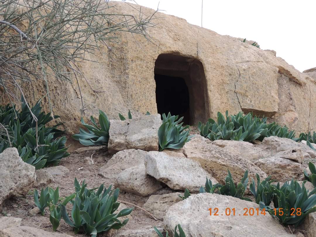 Madar Al-Saa Images 0.6430578081068914