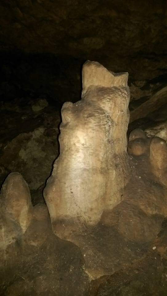 Madar Al-Saa Images 0.08968031239441165