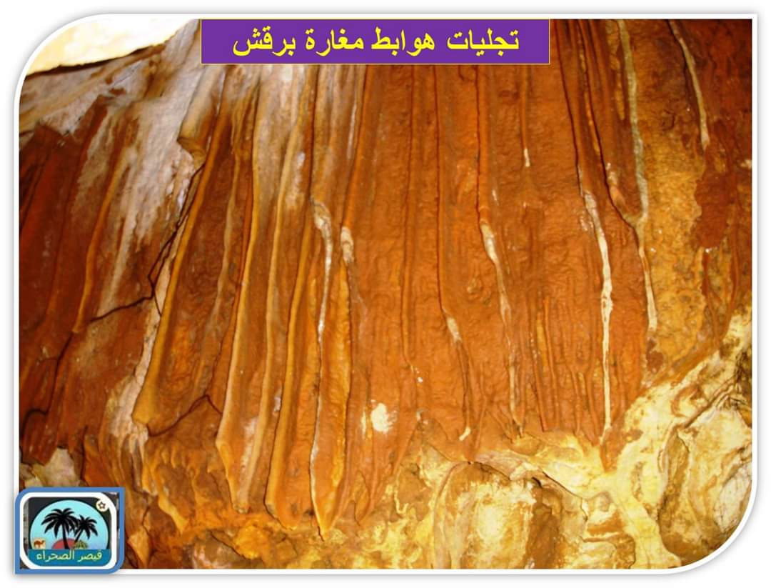 Madar Al-Saa Images 0.9638938581398528