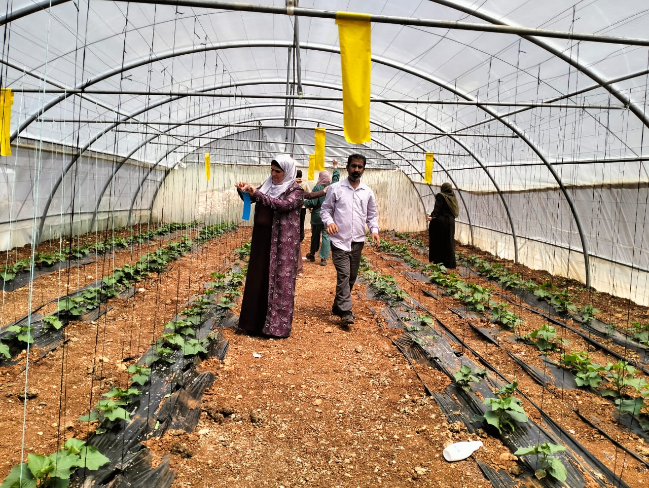 Madar Al-Saa Images 0.5402616277453576