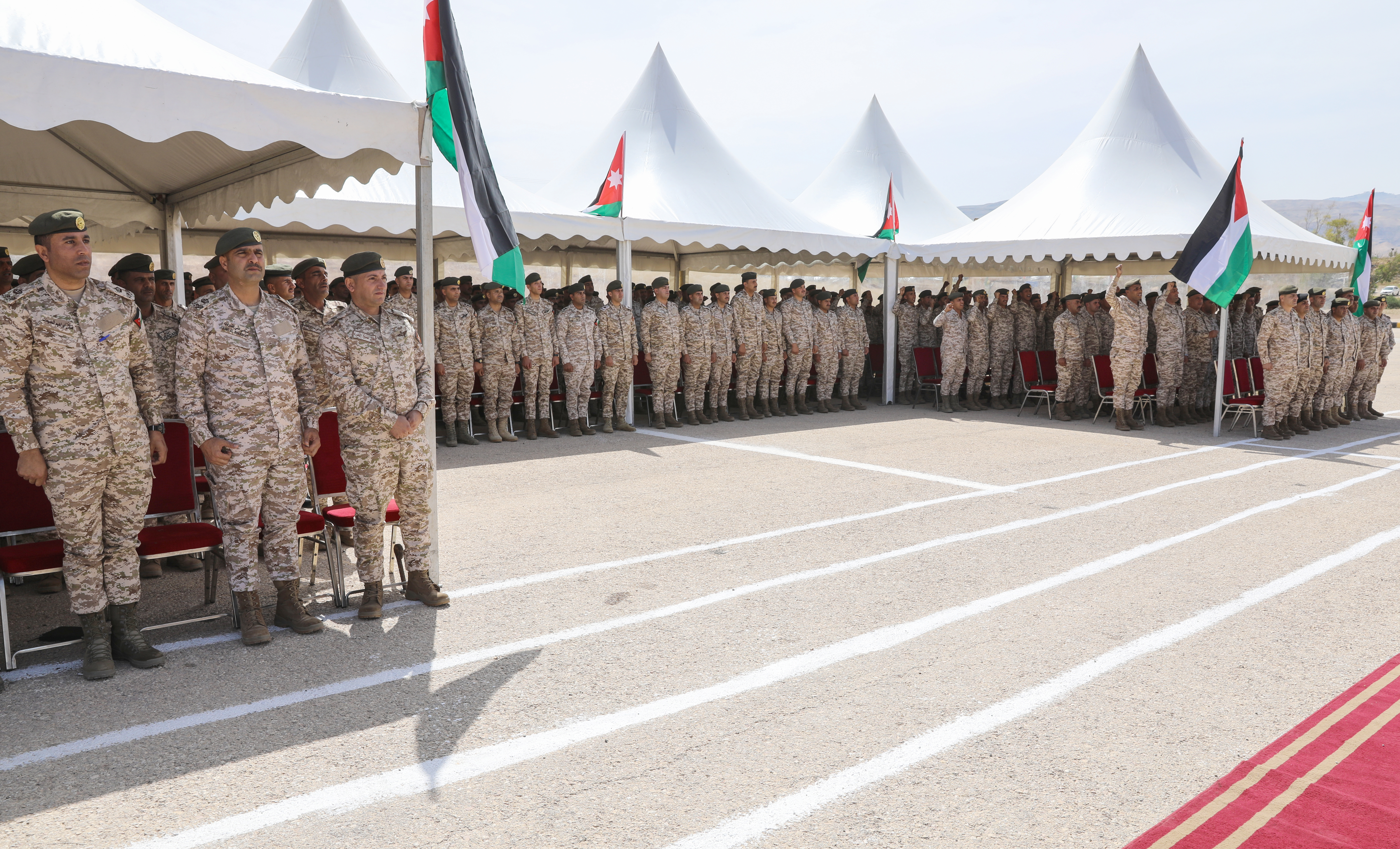 Madar Al-Saa Images 0.018820573336729485