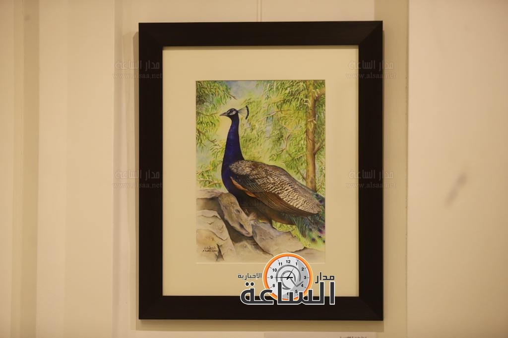 Madar Al-Saa Images 0.6958400367730861