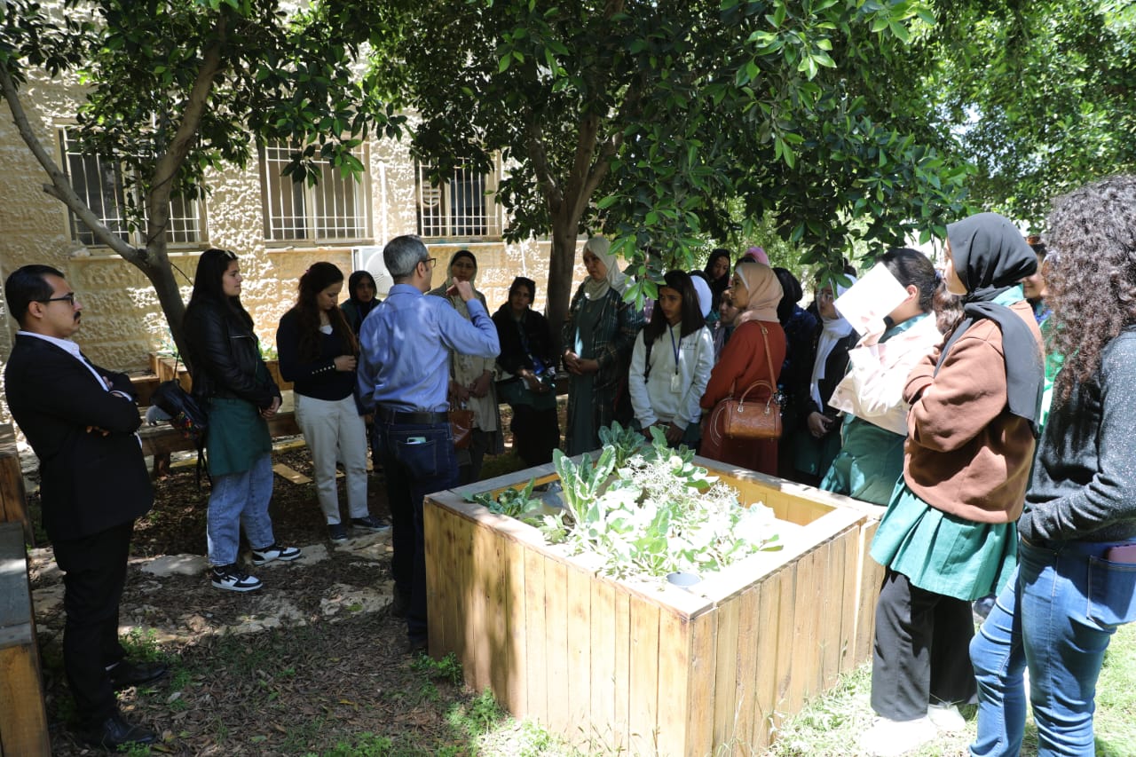 Madar Al-Saa Images 0.7804875224015979