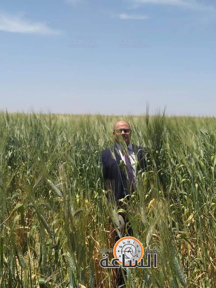 Madar Al-Saa Images 0.6646169704614258