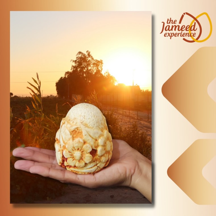 Madar Al-Saa Images 0.05327349169898943