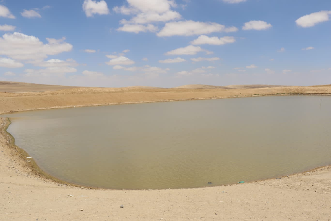 Madar Al-Saa Images 0.9843358346515492