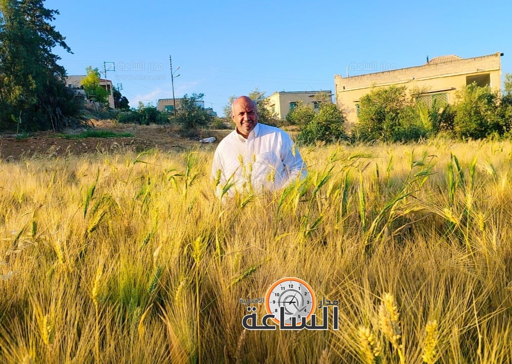 Madar Al-Saa Images 0.5516295009636316