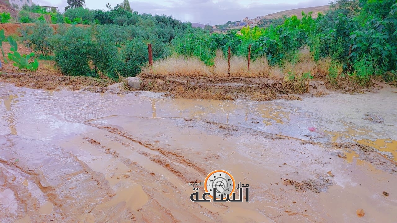 Madar Al-Saa Images 0.27535303541143086