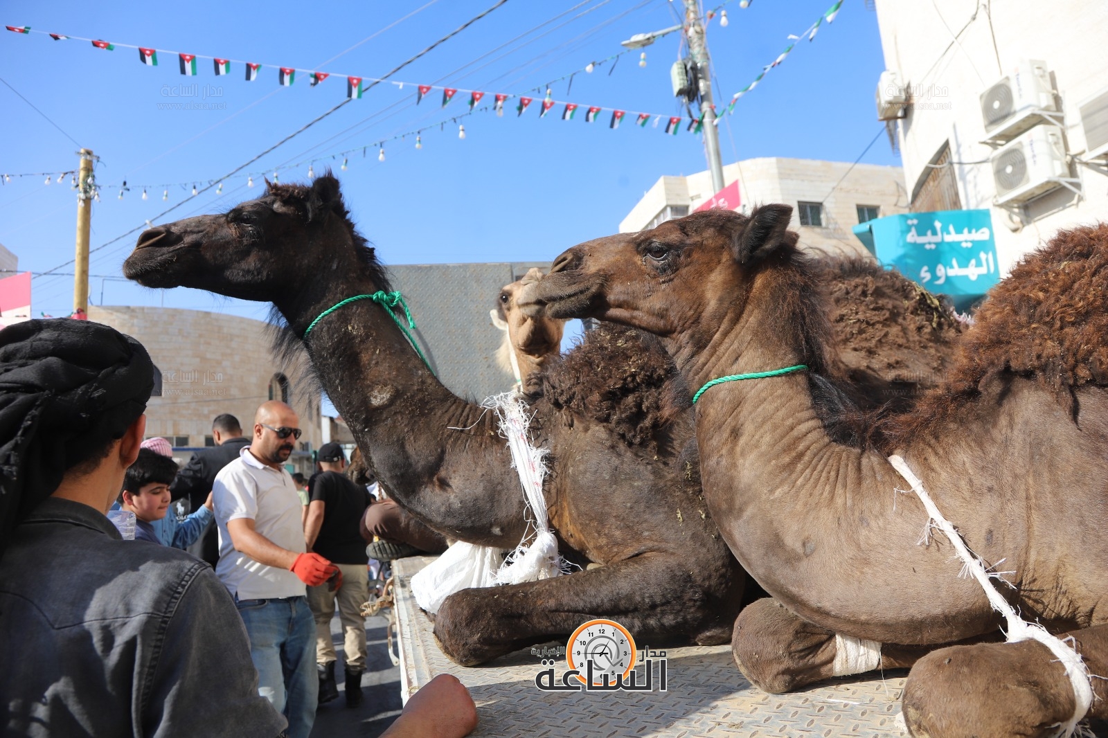 Madar Al-Saa Images 0.2820826304404058