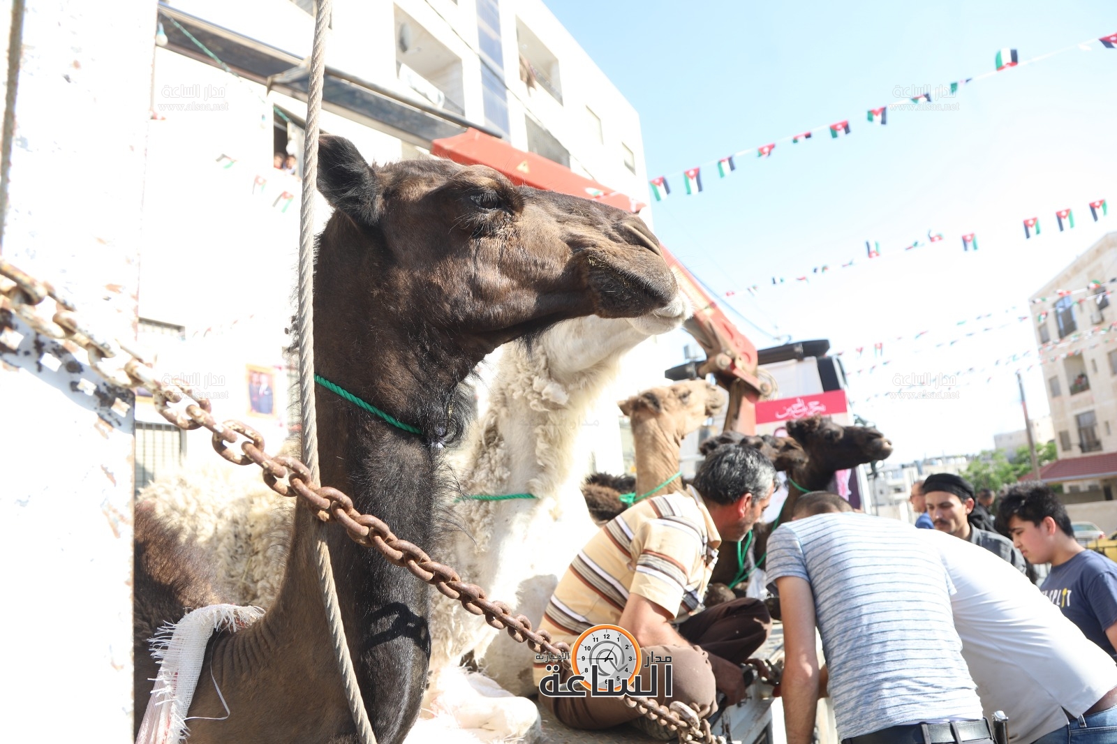 Madar Al-Saa Images 0.6455979941496759