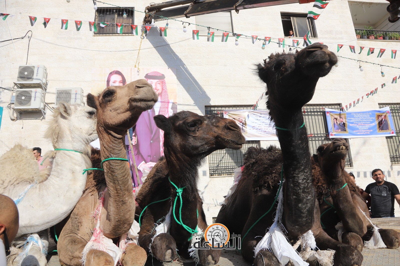 Madar Al-Saa Images 0.43663434560578285