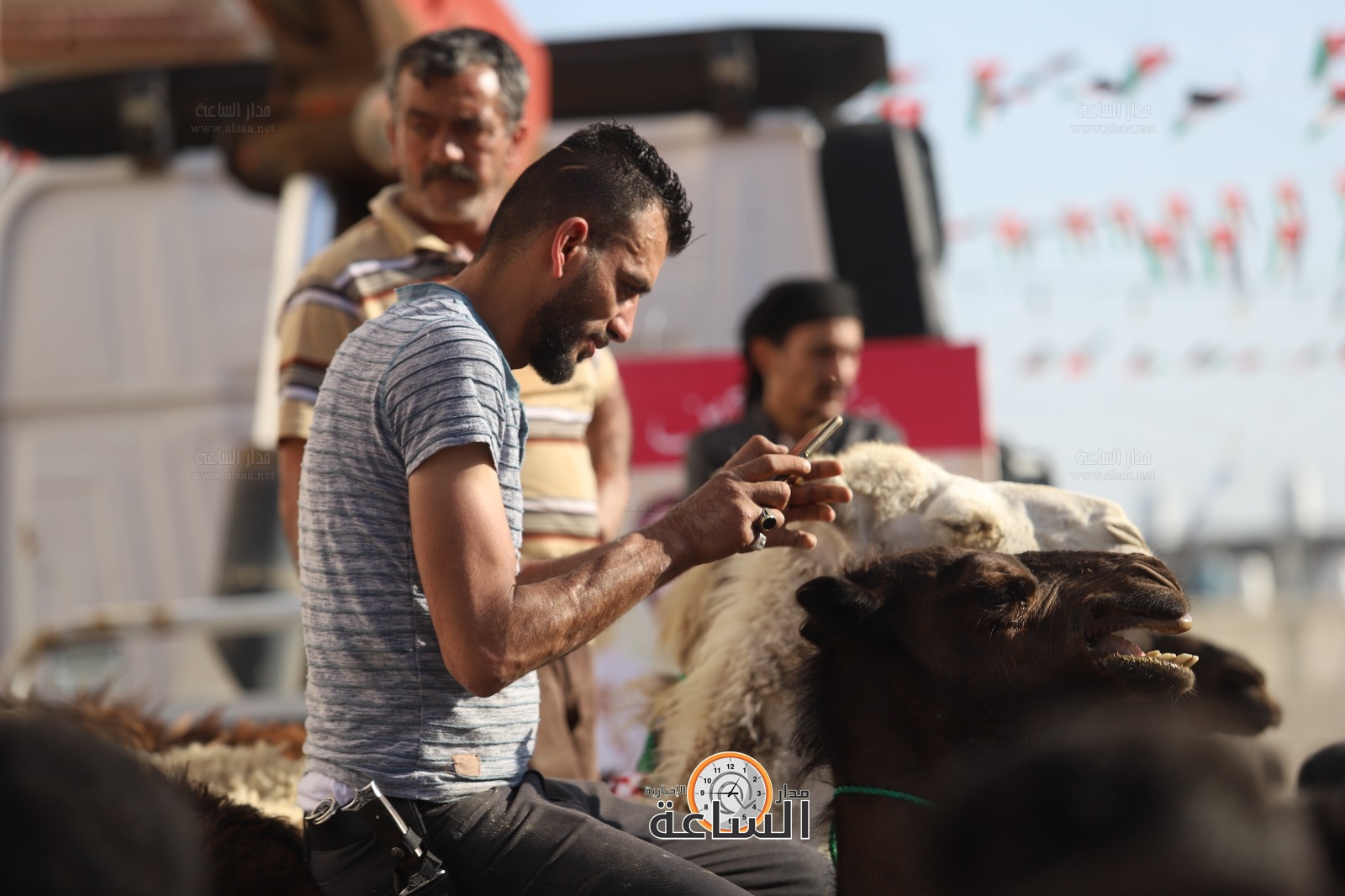 Madar Al-Saa Images 0.8639162054108369