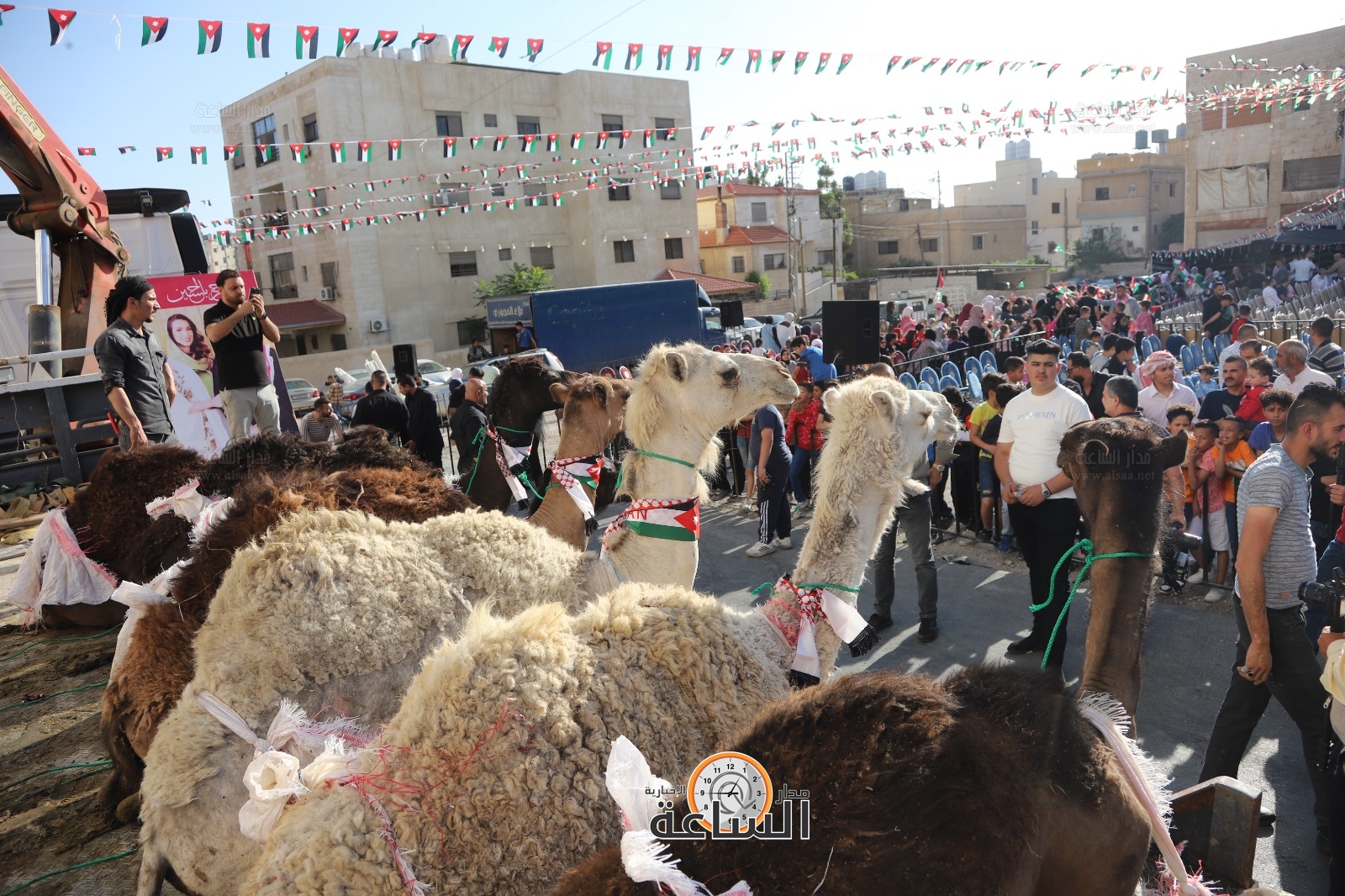 Madar Al-Saa Images 0.6421741871670332