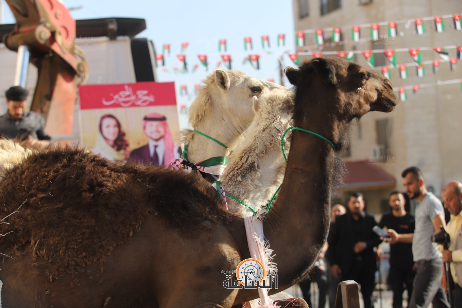 Madar Al-Saa Images 0.09227172445780019