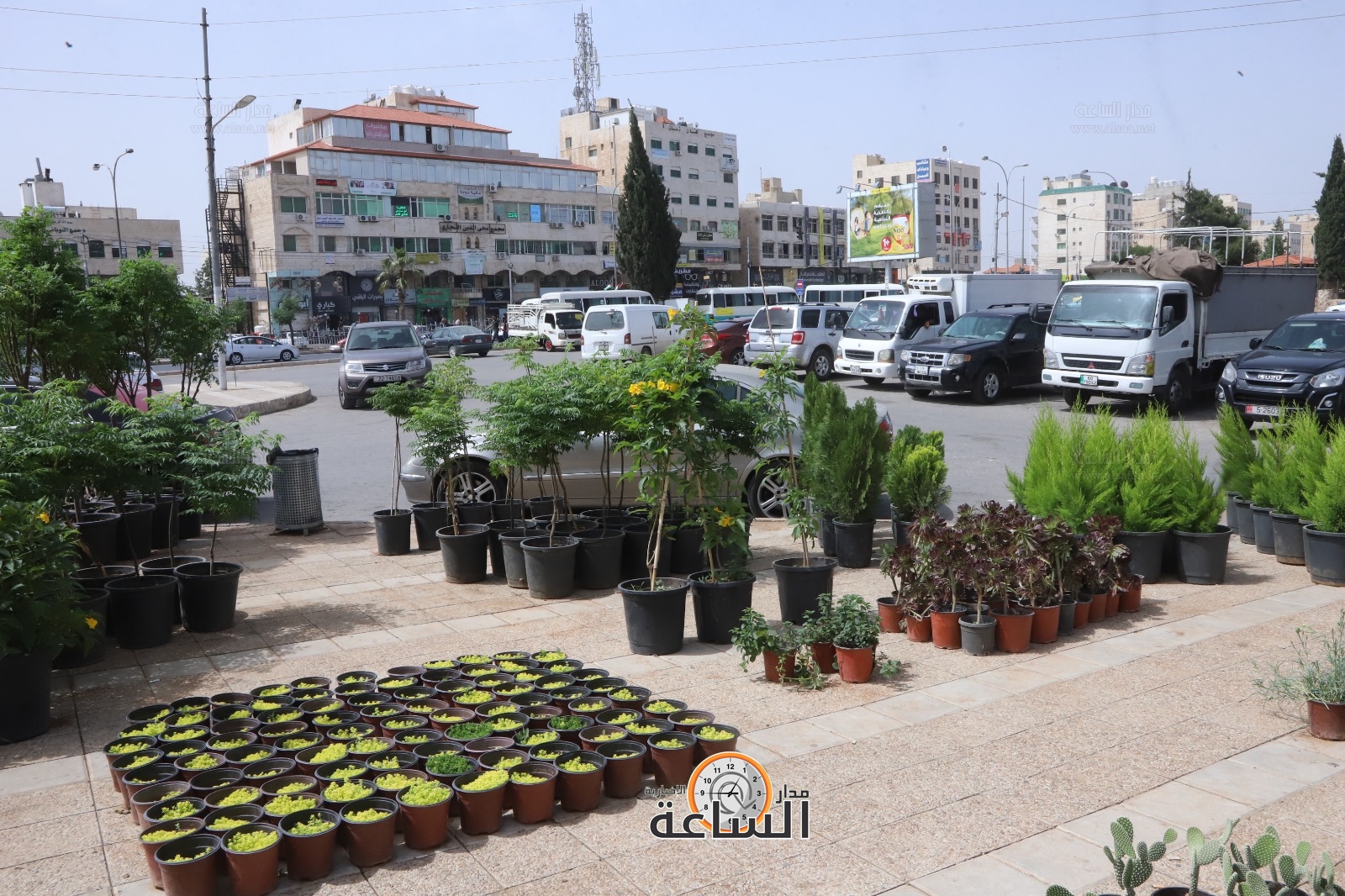 Madar Al-Saa Images 0.4587718738877091