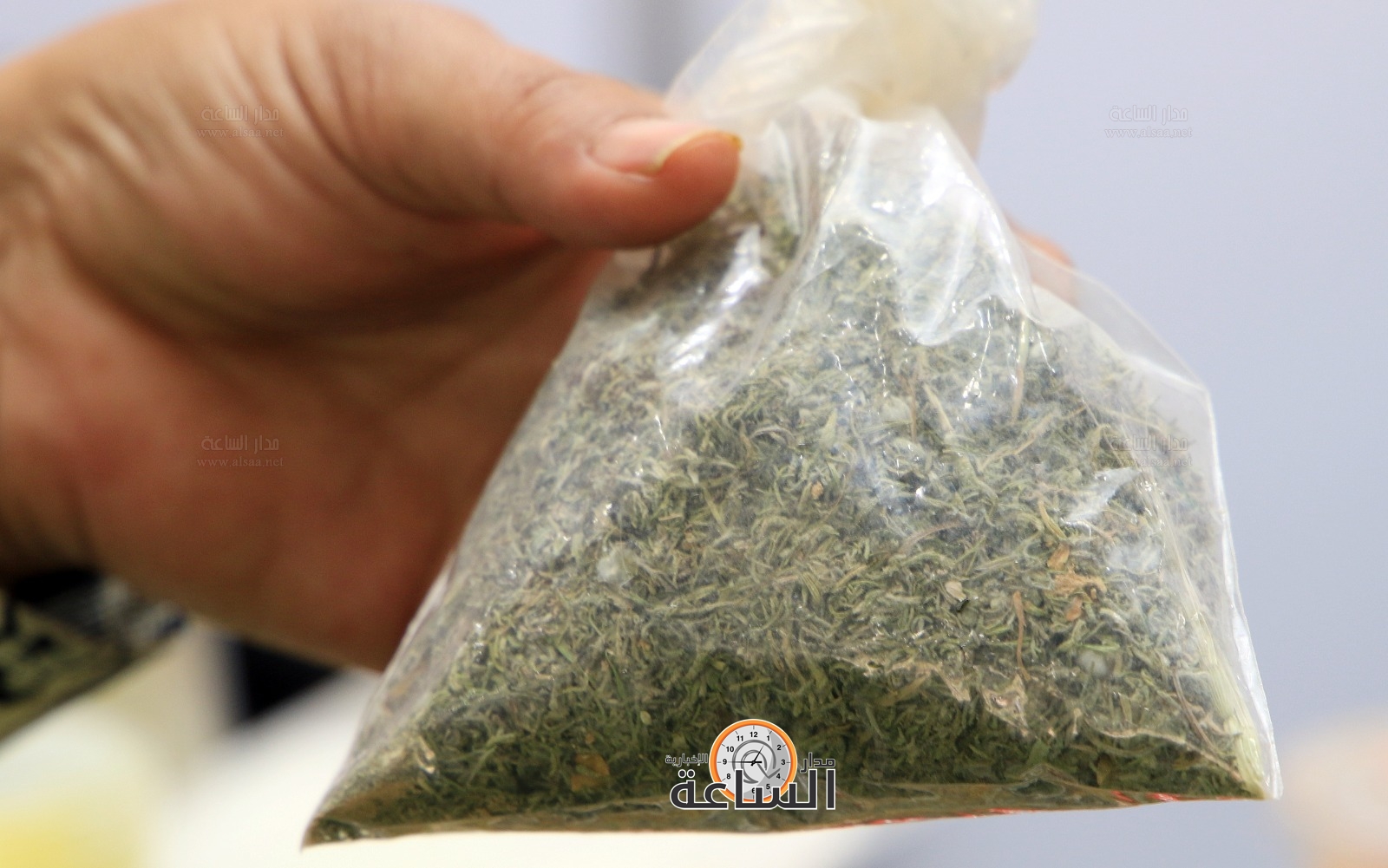 Madar Al-Saa Images 0.6927370371832302