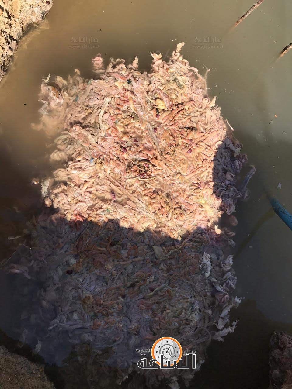 Madar Al-Saa Images 0.22988494562399797