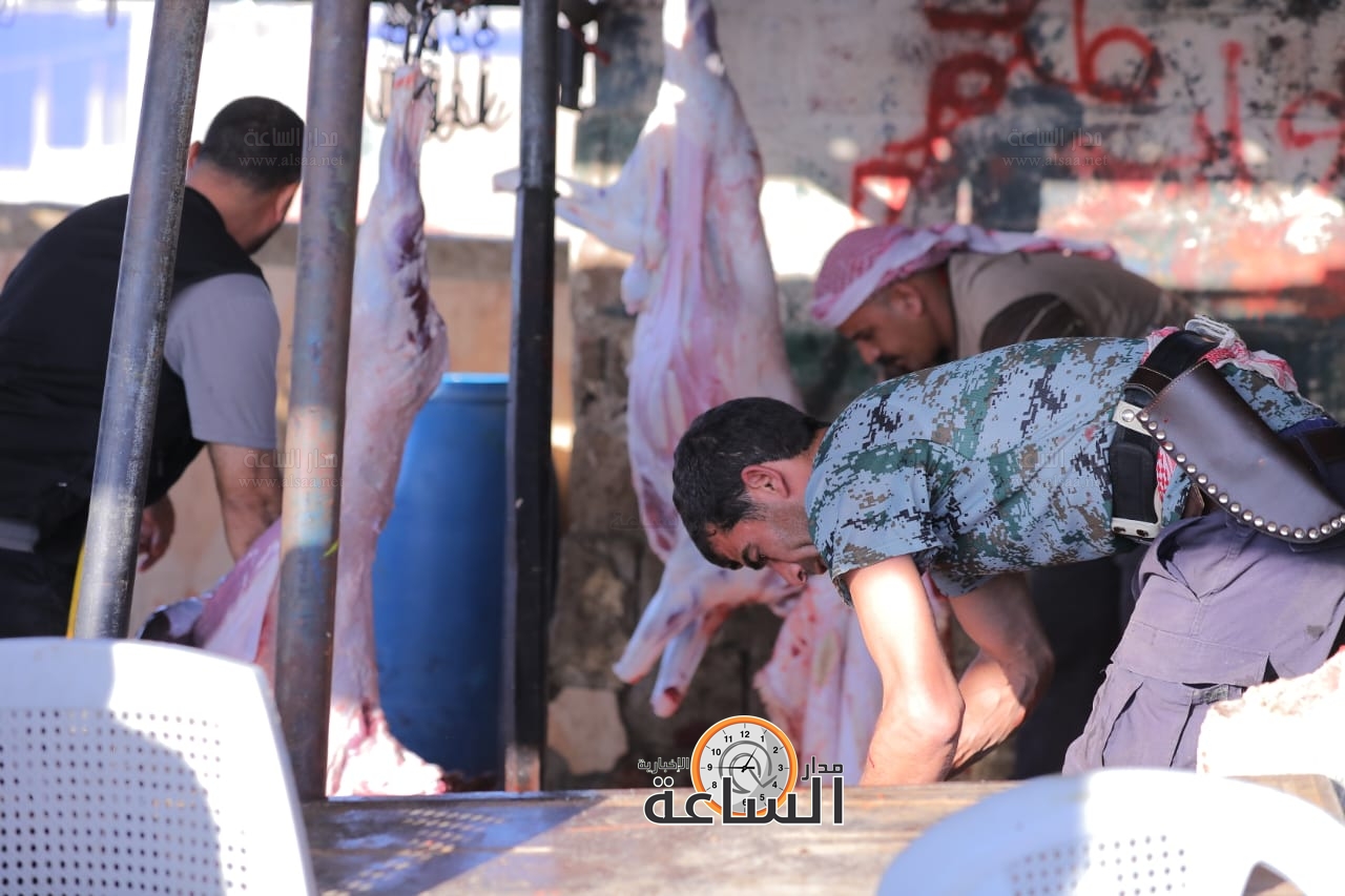 Madar Al-Saa Images 0.720549584736432