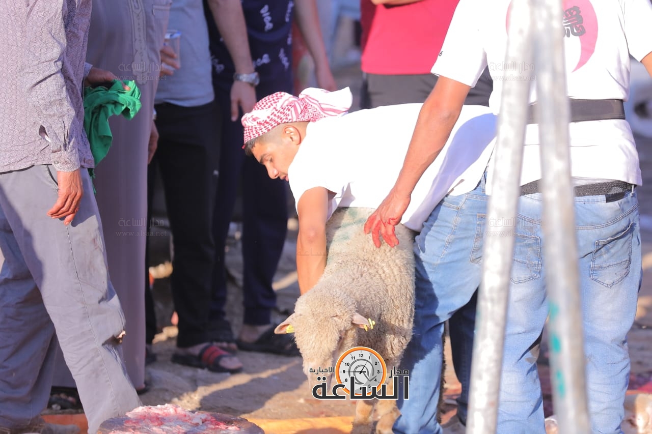 Madar Al-Saa Images 0.9963726211249355