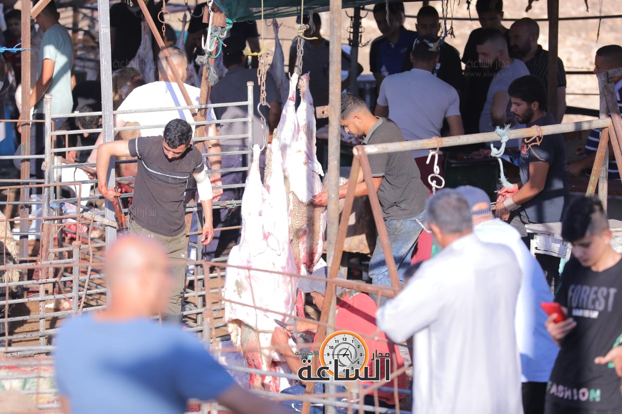 Madar Al-Saa Images 0.10236675516591265