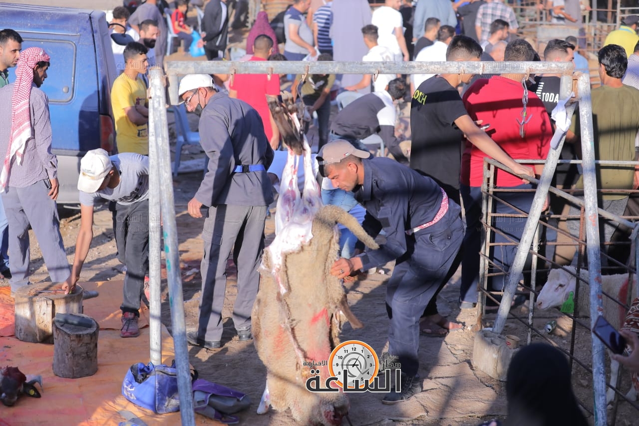 Madar Al-Saa Images 0.35818491041620426