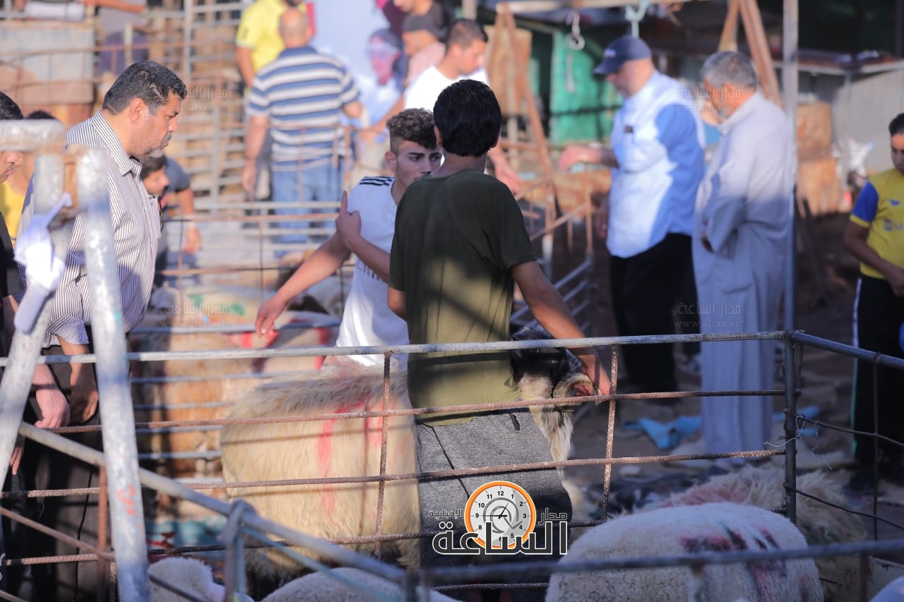 Madar Al-Saa Images 0.6991491213485621