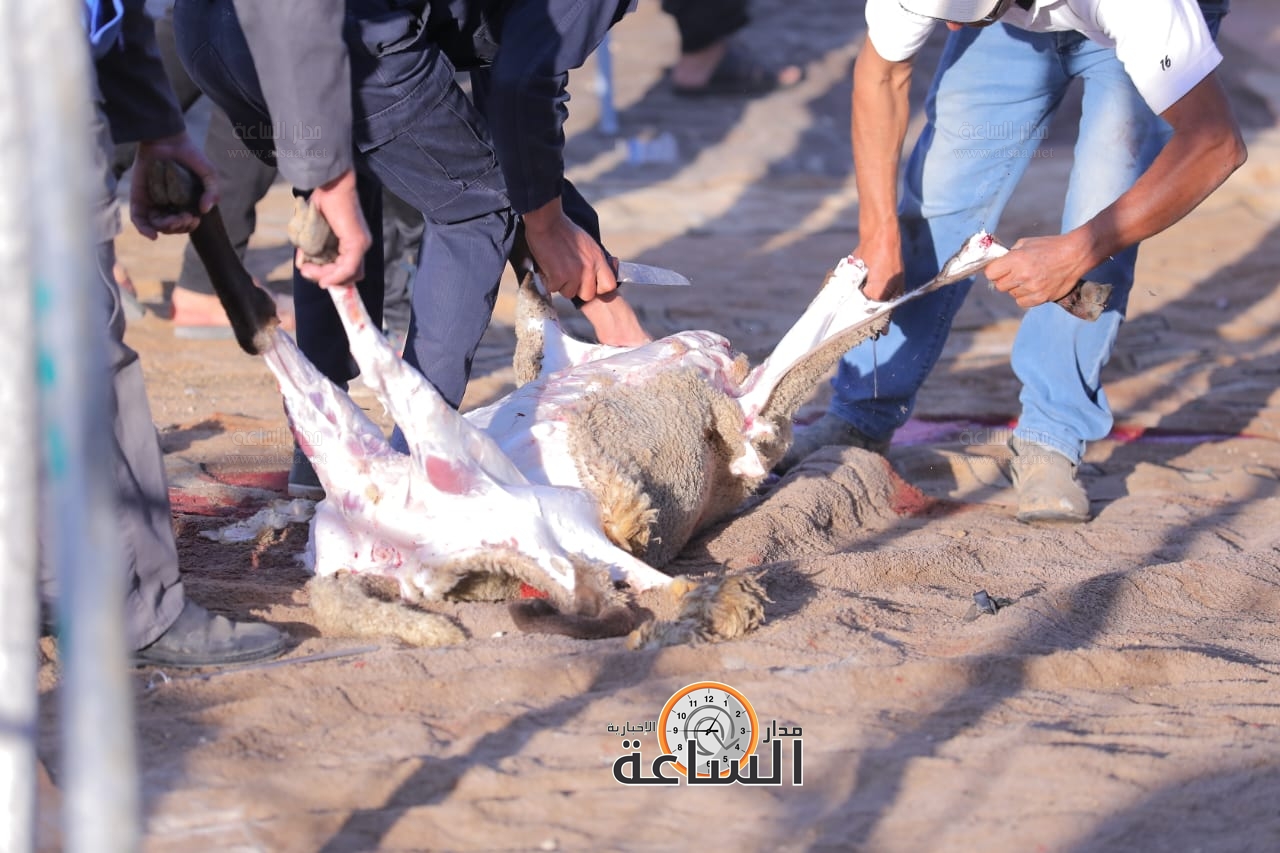 Madar Al-Saa Images 0.7457062064356819