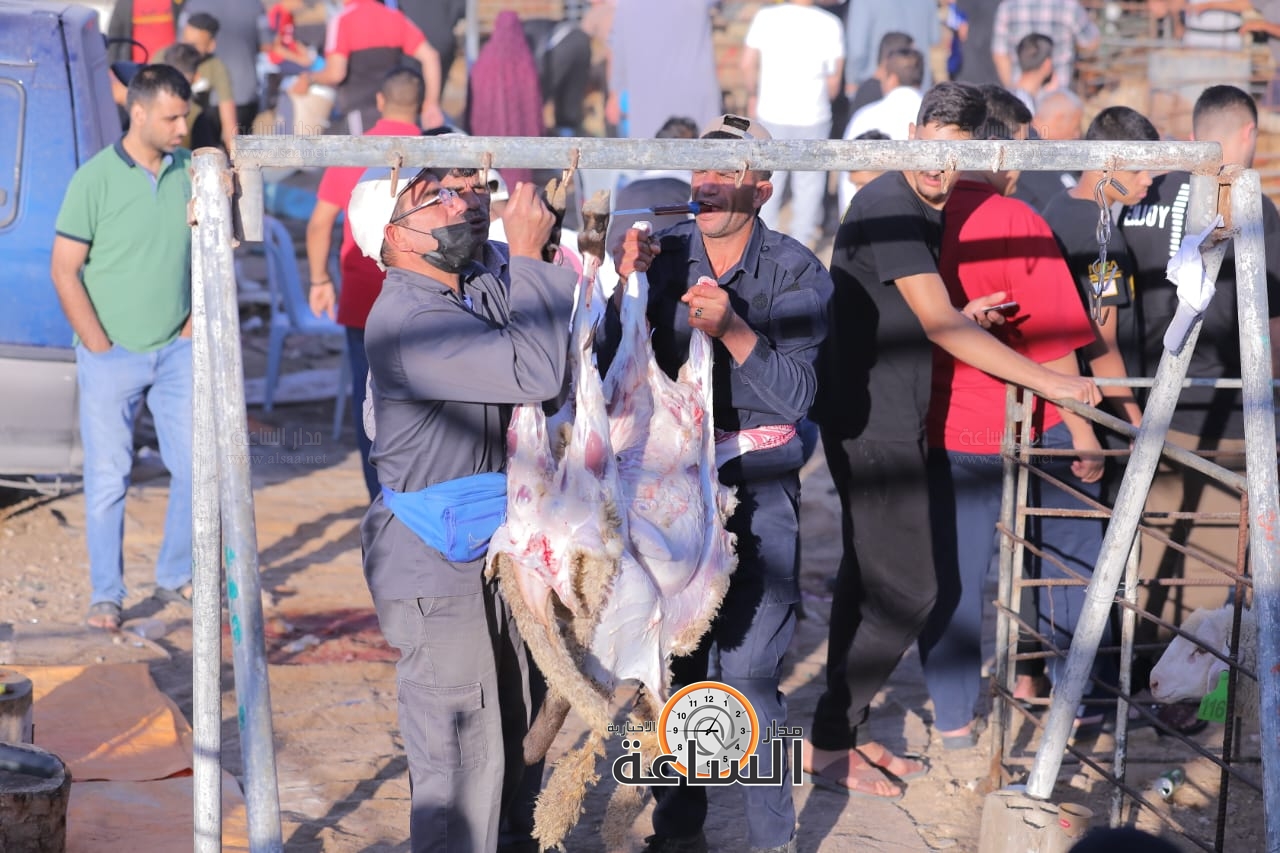 Madar Al-Saa Images 0.11942429881605077