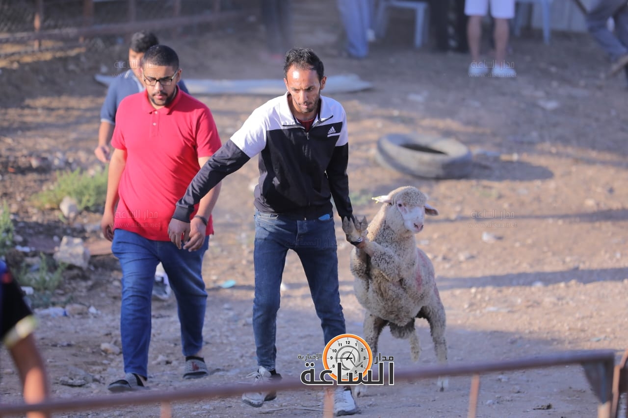 Madar Al-Saa Images 0.5789628272226894