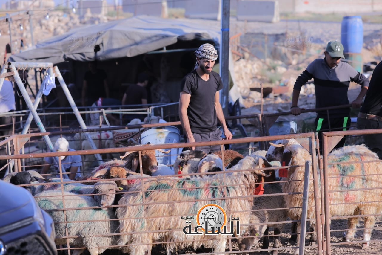 Madar Al-Saa Images 0.6574742422267525