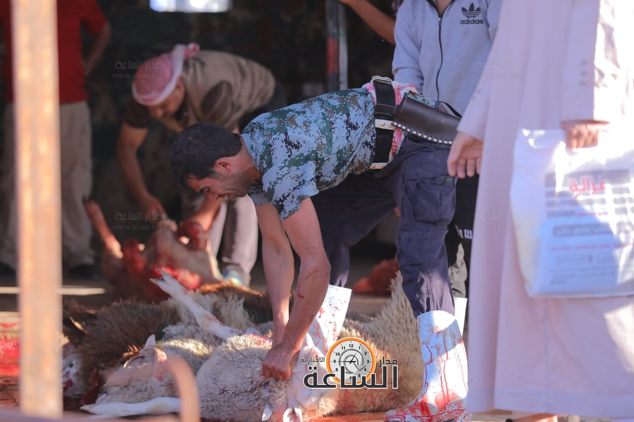 Madar Al-Saa Images 0.9748118776133656