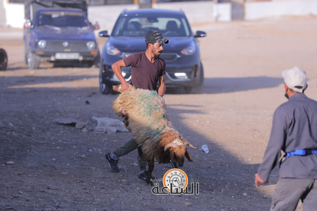 Madar Al-Saa Images 0.7599953798690722