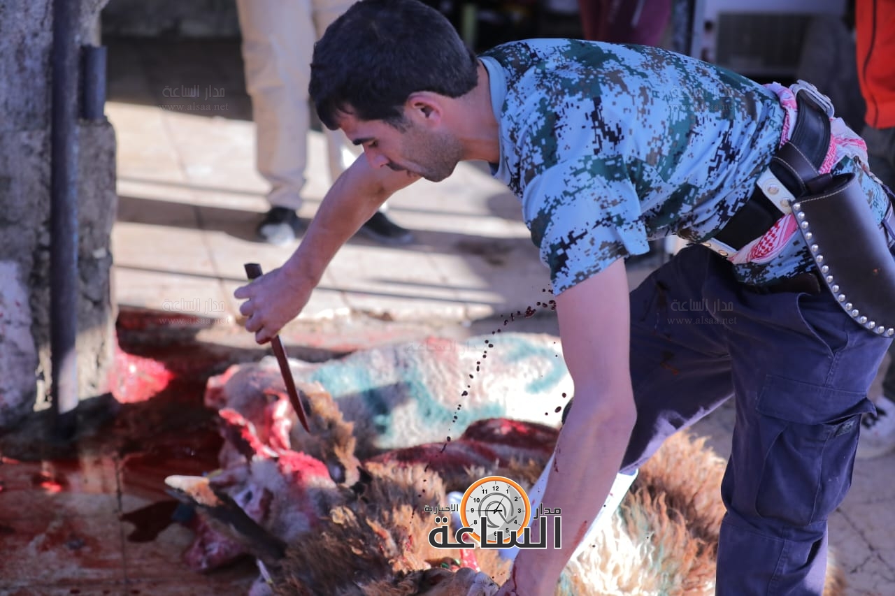 Madar Al-Saa Images 0.7314288127912745