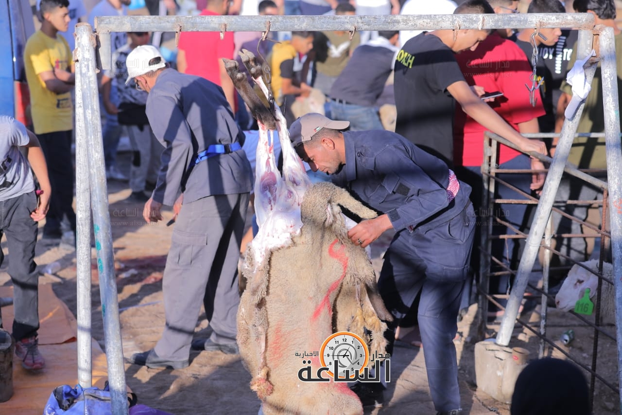 Madar Al-Saa Images 0.1820203471747548